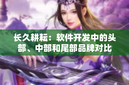 长久耕耘：软件开发中的头部、中部和尾部品牌对比