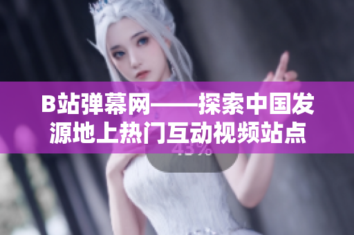 B站弹幕网——探索中国发源地上热门互动视频站点