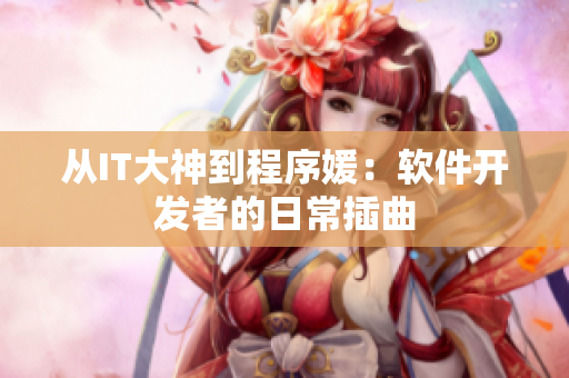 从IT大神到程序媛：软件开发者的日常插曲