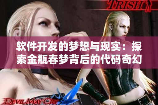 软件开发的梦想与现实：探索金瓶春梦背后的代码奇幻