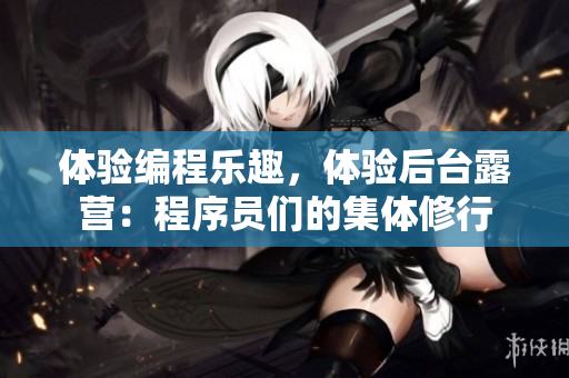 体验编程乐趣，体验后台露营：程序员们的集体修行