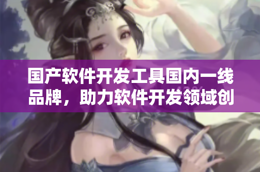 国产软件开发工具国内一线品牌，助力软件开发领域创新