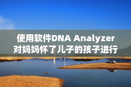 使用软件DNA Analyzer对妈妈怀了儿子的孩子进行亲子鉴定
