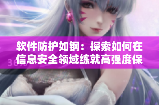 软件防护如钢：探索如何在信息安全领域练就高强度保护