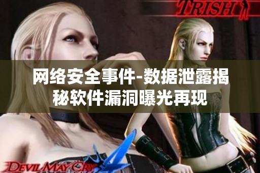 网络安全事件-数据泄露揭秘软件漏洞曝光再现