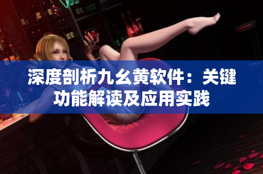 深度剖析九幺黄软件：关键功能解读及应用实践