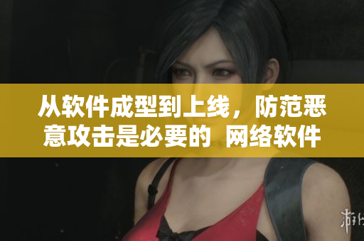 从软件成型到上线，防范恶意攻击是必要的  网络软件安全防范