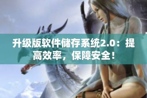 升级版软件储存系统2.0：提高效率，保障安全！