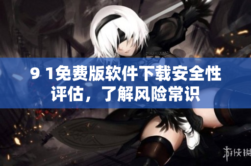 9 1免费版软件下载安全性评估，了解风险常识