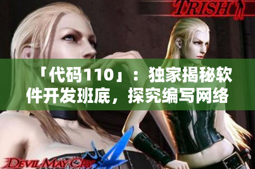 「代码110」：独家揭秘软件开发班底，探究编写网络软件的奋斗史！