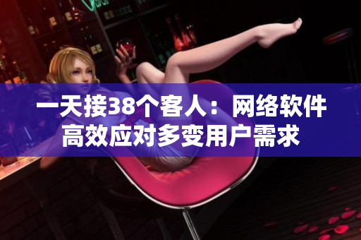 一天接38个客人：网络软件高效应对多变用户需求