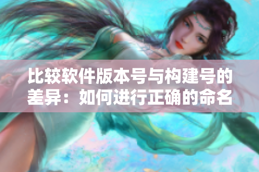 比较软件版本号与构建号的差异：如何进行正确的命名与尺码管理
