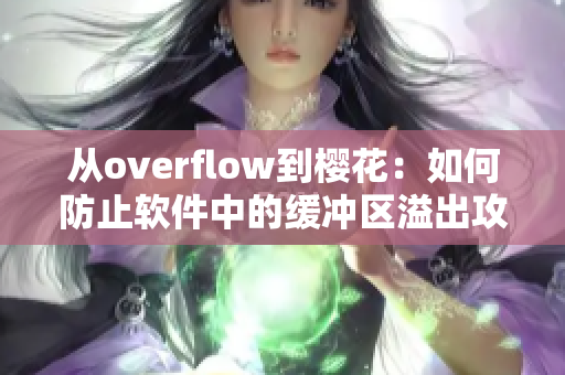 从overflow到樱花：如何防止软件中的缓冲区溢出攻击