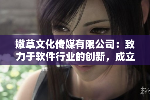 嫩草文化传媒有限公司：致力于软件行业的创新，成立至今已近10年