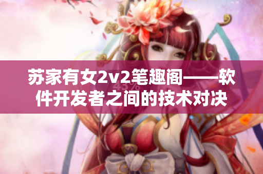 苏家有女2v2笔趣阁——软件开发者之间的技术对决