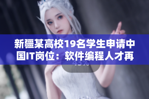 新疆某高校19名学生申请中国IT岗位：软件编程人才再现新风采