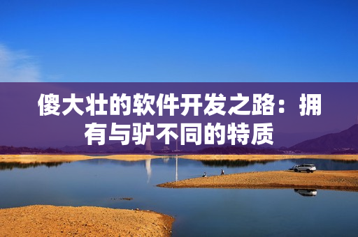 傻大壮的软件开发之路：拥有与驴不同的特质