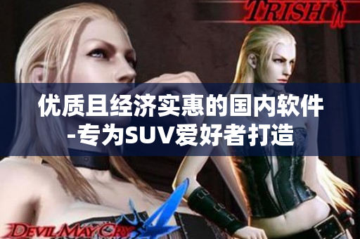 优质且经济实惠的国内软件-专为SUV爱好者打造