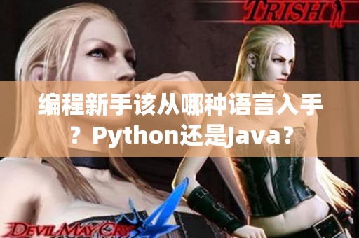 编程新手该从哪种语言入手？Python还是Java？