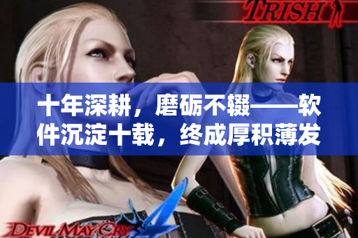 十年深耕，磨砺不辍——软件沉淀十载，终成厚积薄发
