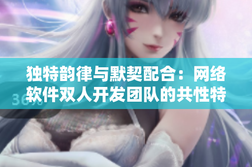 独特韵律与默契配合：网络软件双人开发团队的共性特征