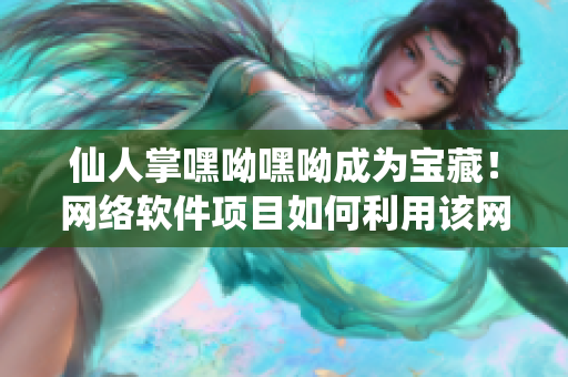仙人掌嘿呦嘿呦成为宝藏！网络软件项目如何利用该网站推广？