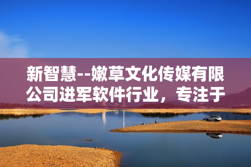新智慧--嫩草文化传媒有限公司进军软件行业，专注于智能化创新