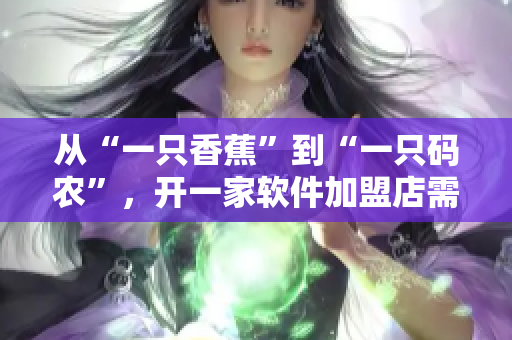从“一只香蕉”到“一只码农”，开一家软件加盟店需要花费多少？