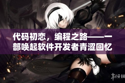 代码初恋，编程之路——一部唤起软件开发者青涩回忆的电视剧