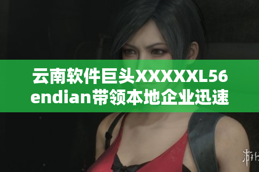 云南软件巨头XXXXXL56endian带领本地企业迅速发展