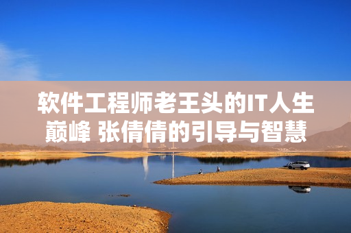 软件工程师老王头的IT人生巅峰 张倩倩的引导与智慧