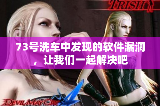 73号洗车中发现的软件漏洞，让我们一起解决吧