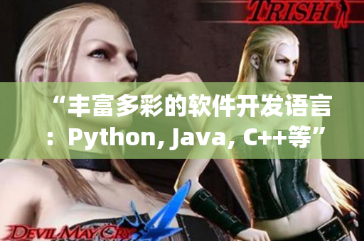 “丰富多彩的软件开发语言：Python, Java, C++等”