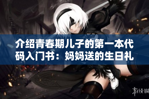 介绍青春期儿子的第一本代码入门书：妈妈送的生日礼物