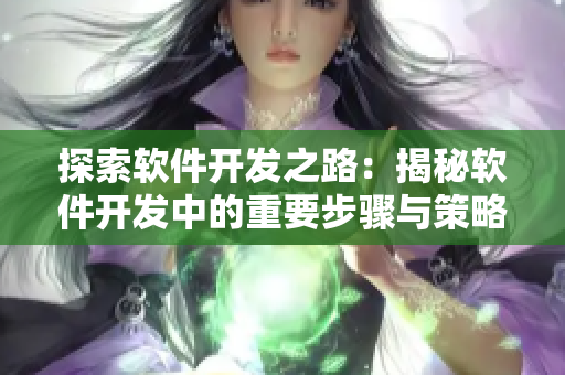 探索软件开发之路：揭秘软件开发中的重要步骤与策略