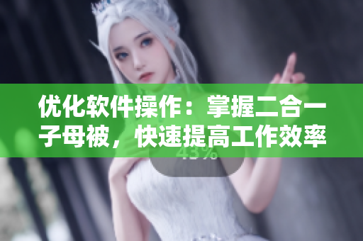 优化软件操作：掌握二合一子母被，快速提高工作效率