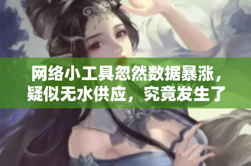 网络小工具忽然数据暴涨，疑似无水供应，究竟发生了什么？