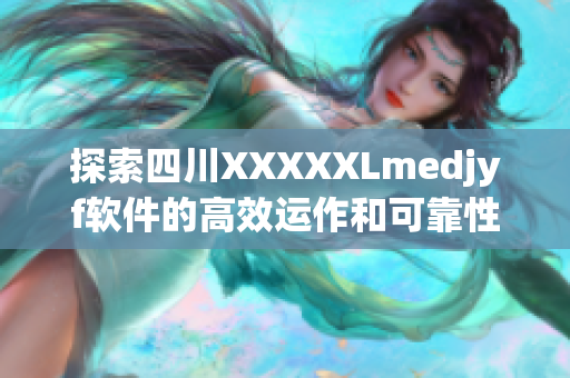 探索四川XXXXXLmedjyf软件的高效运作和可靠性