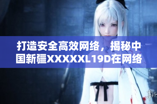 打造安全高效网络，揭秘中国新疆XXXXXL19D在网络软件中的应用