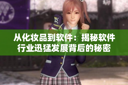 从化妆品到软件：揭秘软件行业迅猛发展背后的秘密