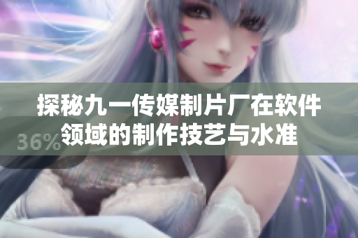 探秘九一传媒制片厂在软件领域的制作技艺与水准