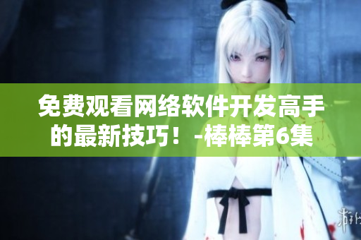 免费观看网络软件开发高手的最新技巧！-棒棒第6集