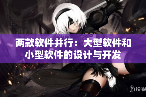 两款软件并行：大型软件和小型软件的设计与开发