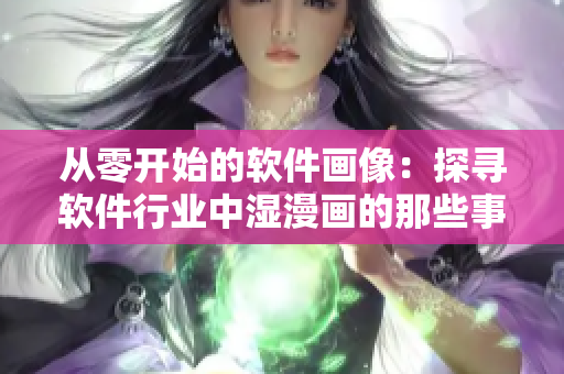 从零开始的软件画像：探寻软件行业中湿漫画的那些事