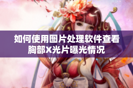 如何使用图片处理软件查看胸部X光片曝光情况
