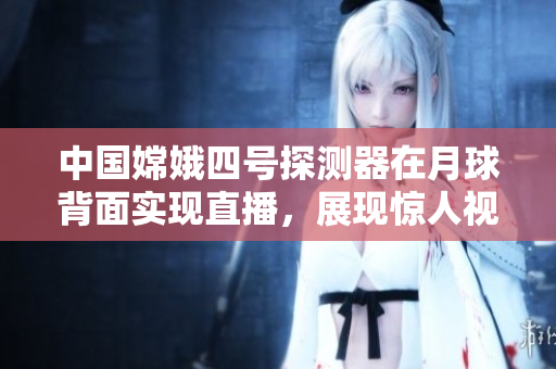 中国嫦娥四号探测器在月球背面实现直播，展现惊人视野