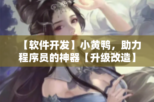 【软件开发】小黄鸭，助力程序员的神器【升级改造】
