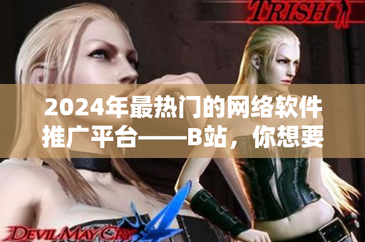 2024年最热门的网络软件推广平台——B站，你想要了解的都在这里！