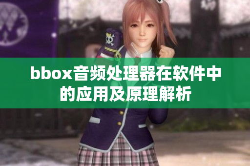 bbox音频处理器在软件中的应用及原理解析