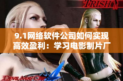 9.1网络软件公司如何实现高效盈利：学习电影制片厂的票房制胜策略